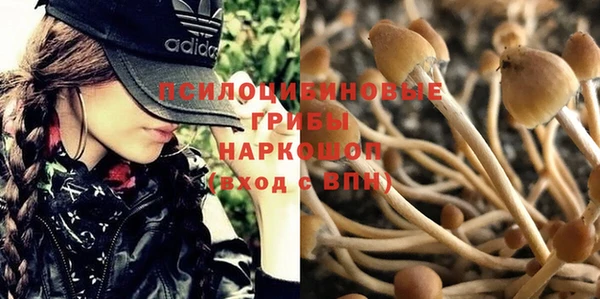 герыч Елабуга
