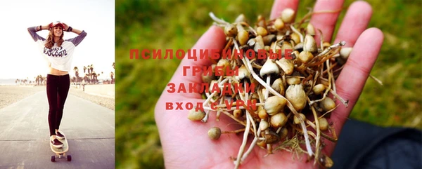 крисы Елизово